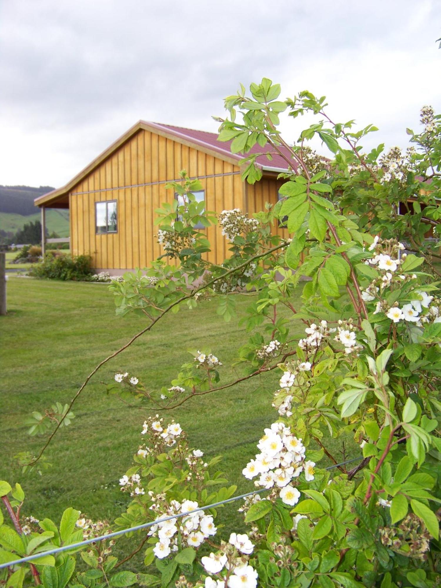 Longbourne Lodge Motel Mosgiel Luaran gambar