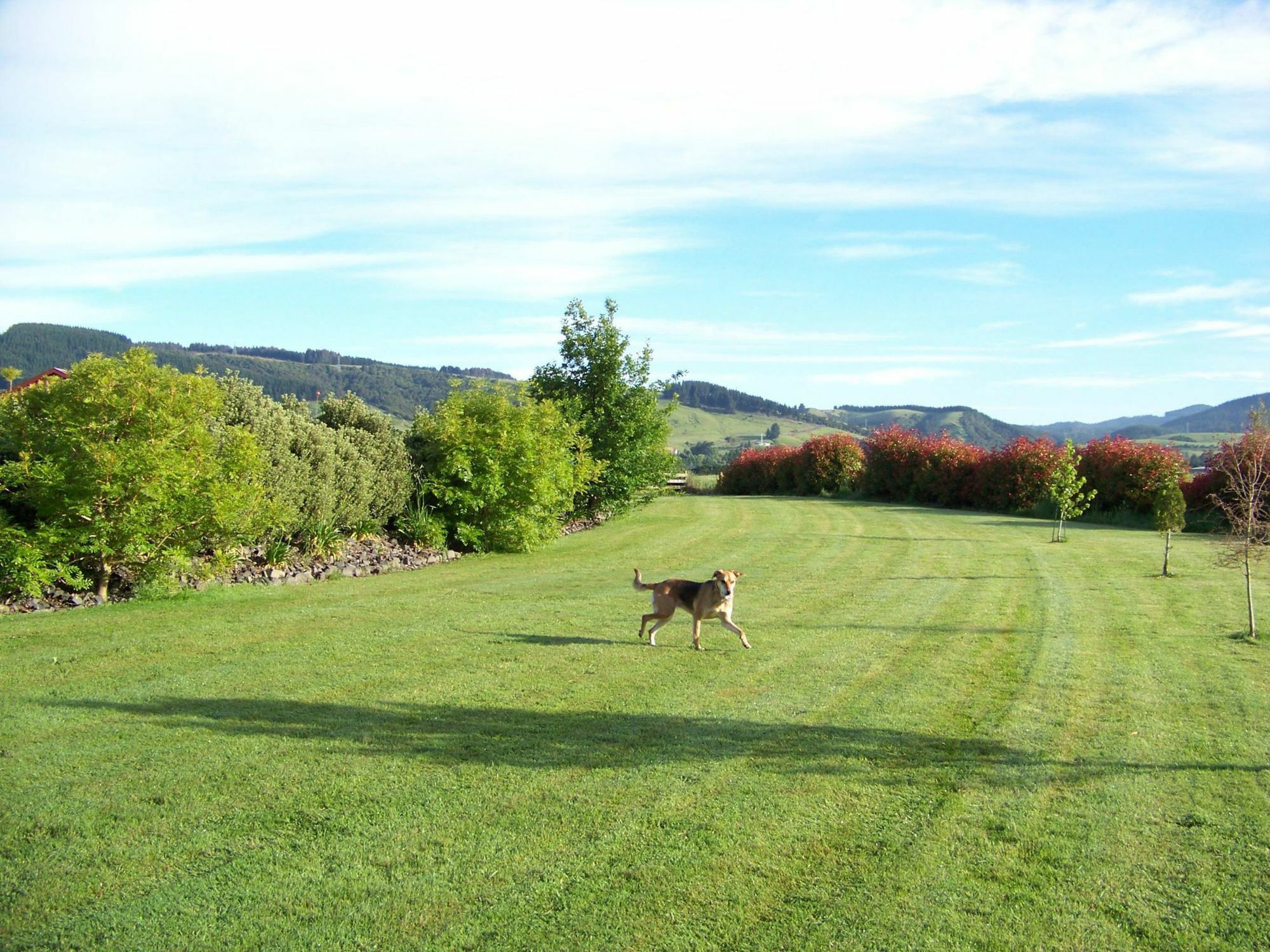 Longbourne Lodge Motel Mosgiel Luaran gambar